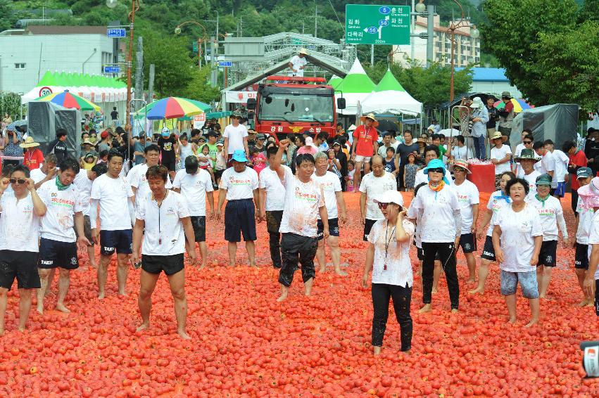 2016 화천토마토축제장 전경 의 사진