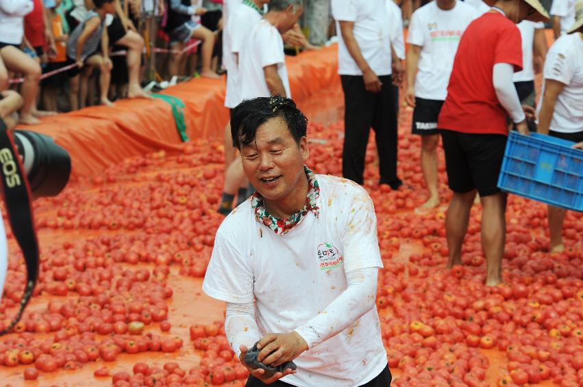 2016 화천토마토축제장 전경 의 사진