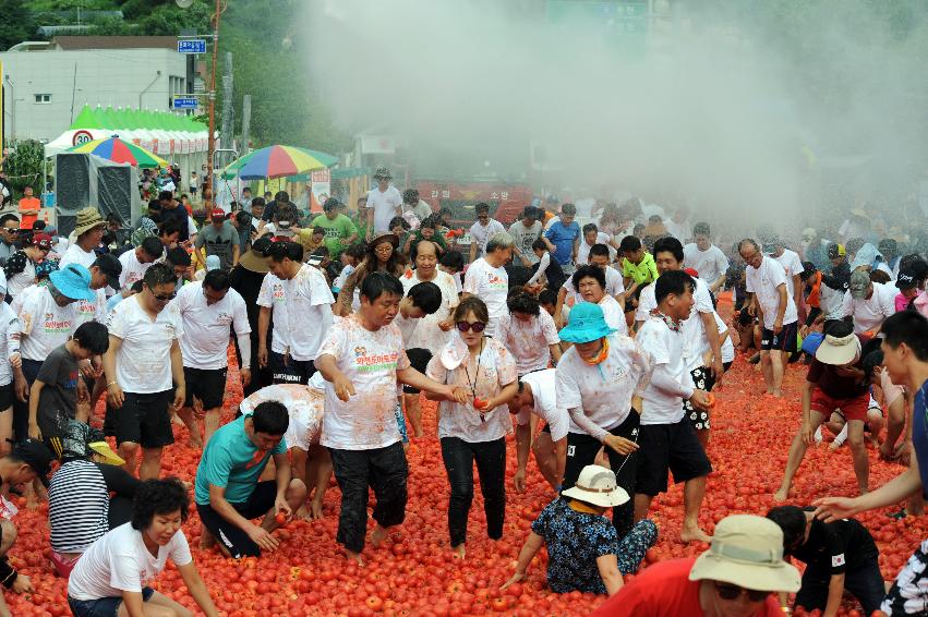 2016 화천토마토축제장 전경 의 사진