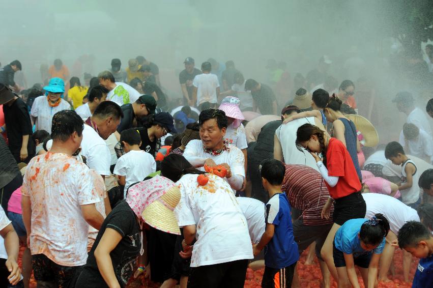 2016 화천토마토축제장 전경 의 사진