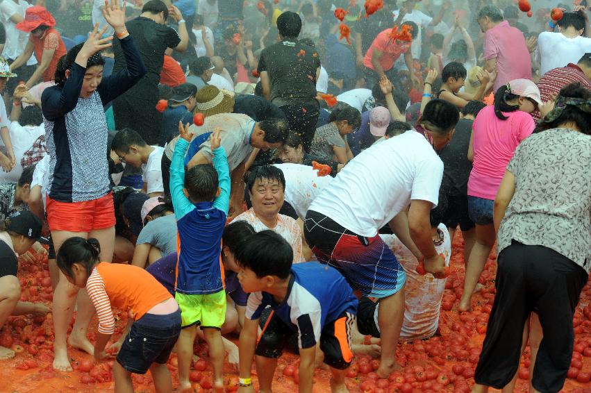 2016 화천토마토축제장 전경 의 사진