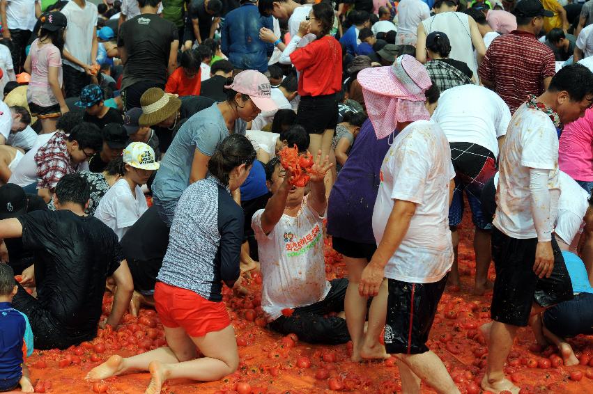 2016 화천토마토축제장 전경 의 사진