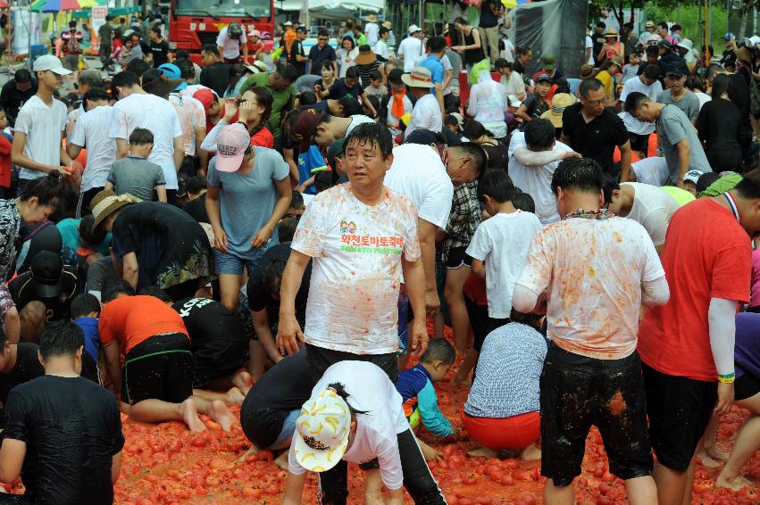 2016 화천토마토축제장 전경 의 사진