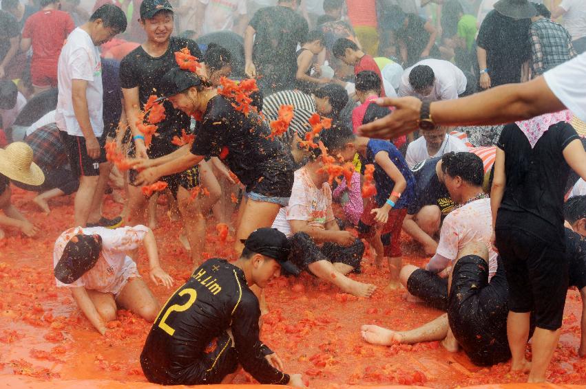 2016 화천토마토축제장 전경 의 사진