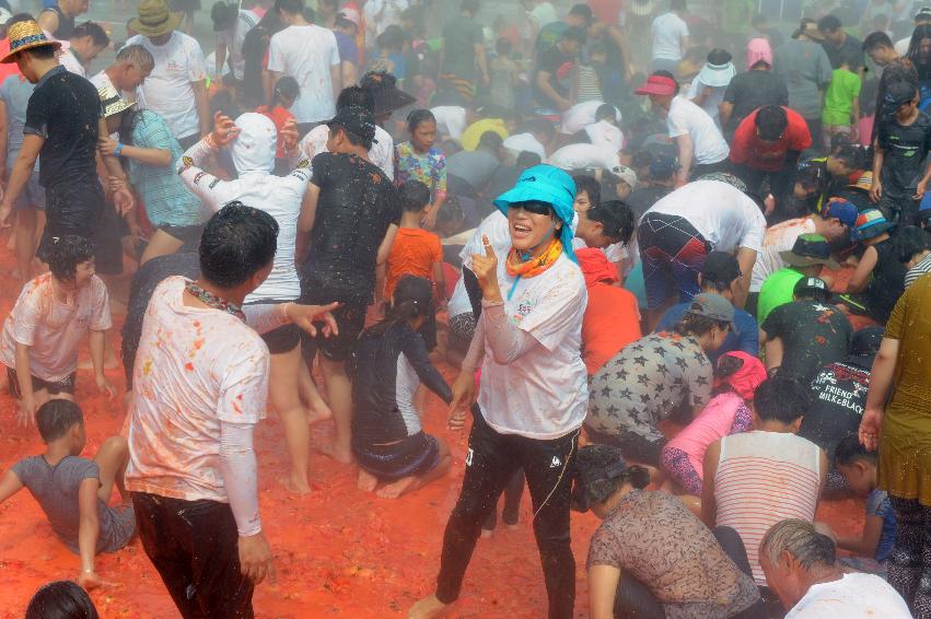 2016 화천토마토축제장 전경 의 사진