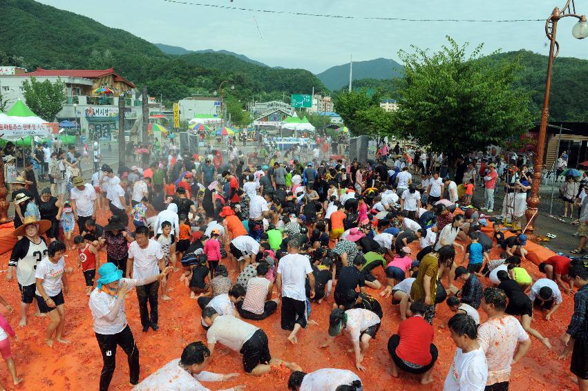 2016 화천토마토축제장 전경 의 사진