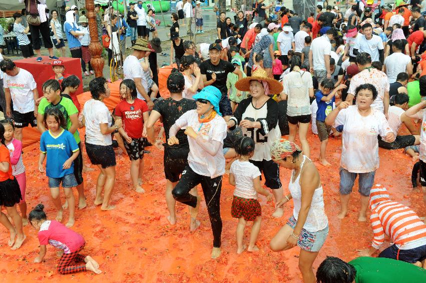 2016 화천토마토축제장 전경 의 사진