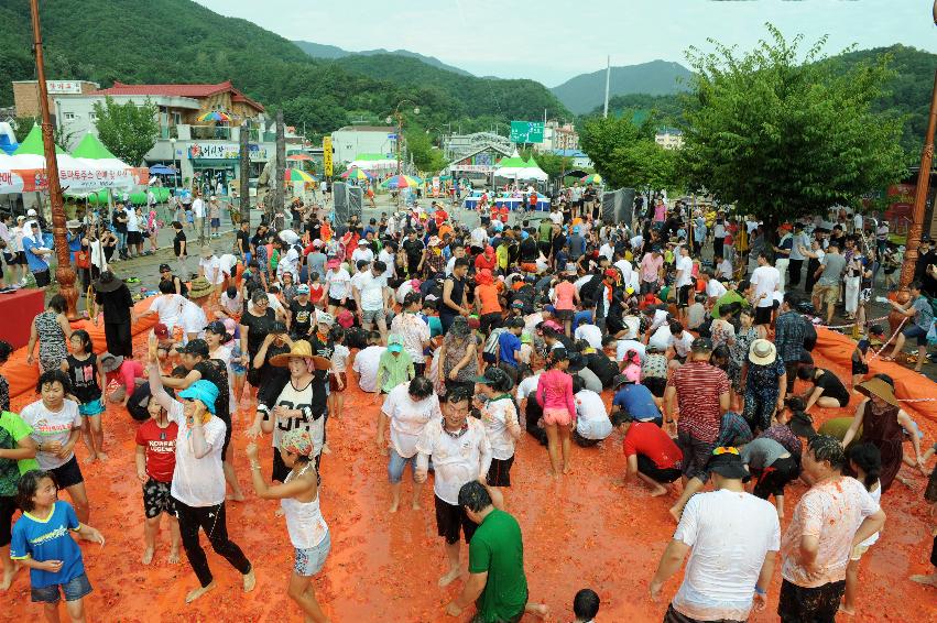 2016 화천토마토축제장 전경 의 사진