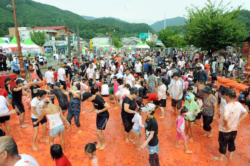 2016 화천토마토축제장 전경 의 사진