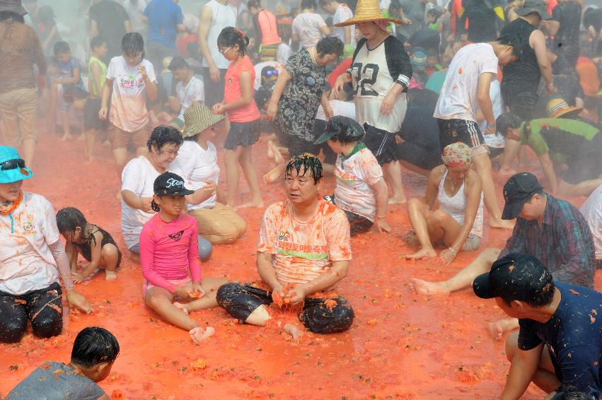 2016 화천토마토축제장 전경 의 사진