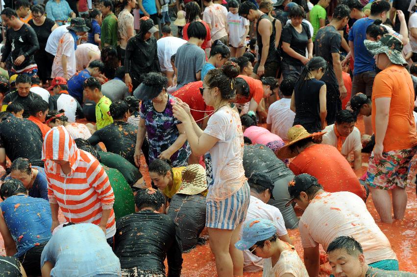 2016 화천토마토축제장 전경 의 사진