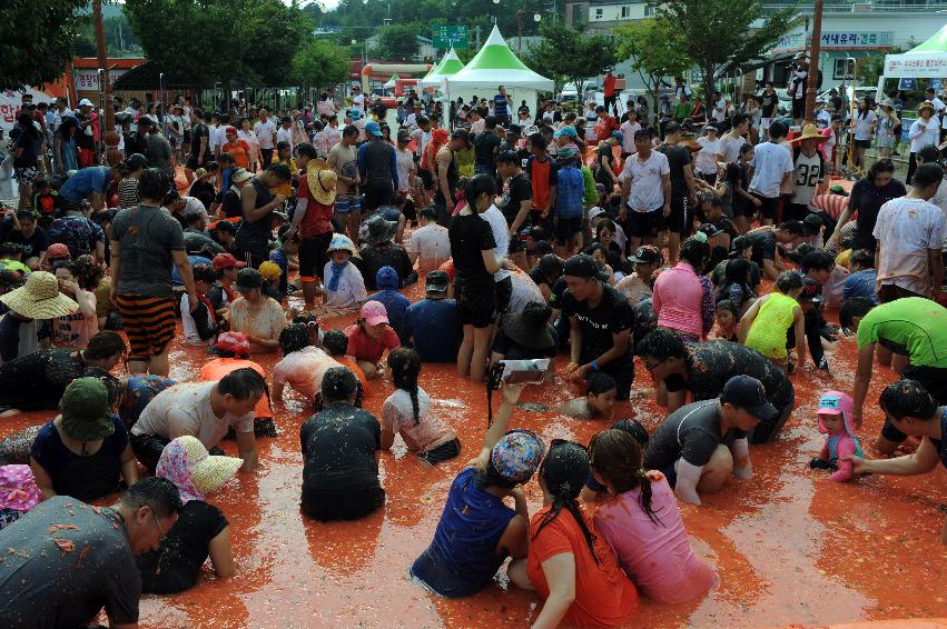 2016 화천토마토축제장 전경 의 사진