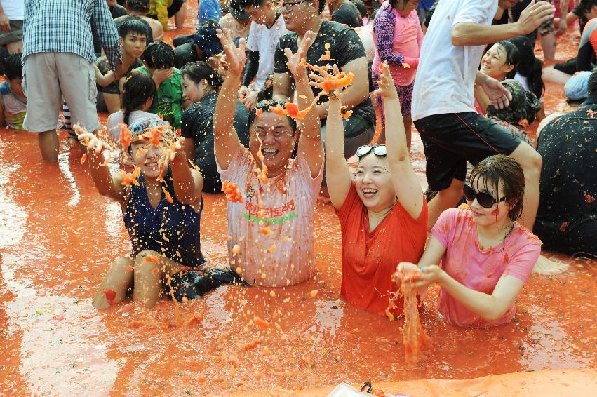 2016 화천토마토축제장 전경 의 사진