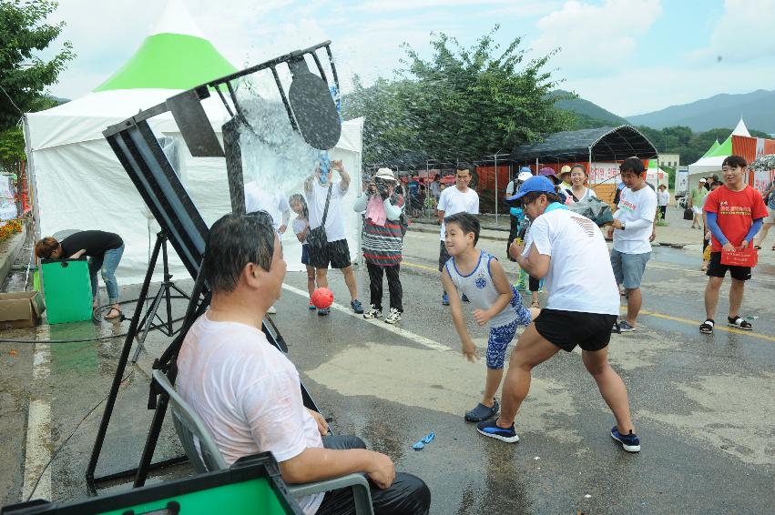 2016 화천토마토축제장 전경 의 사진