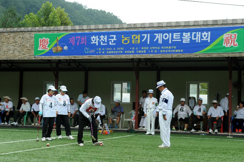 2016 제7회 화천군 농협기 게이트볼대회 의 사진