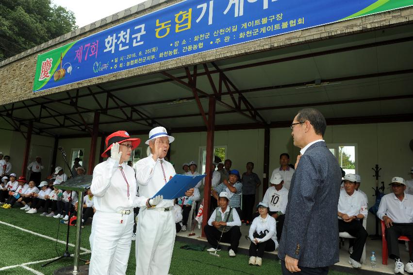 2016 제7회 화천군 농협기 게이트볼대회 의 사진