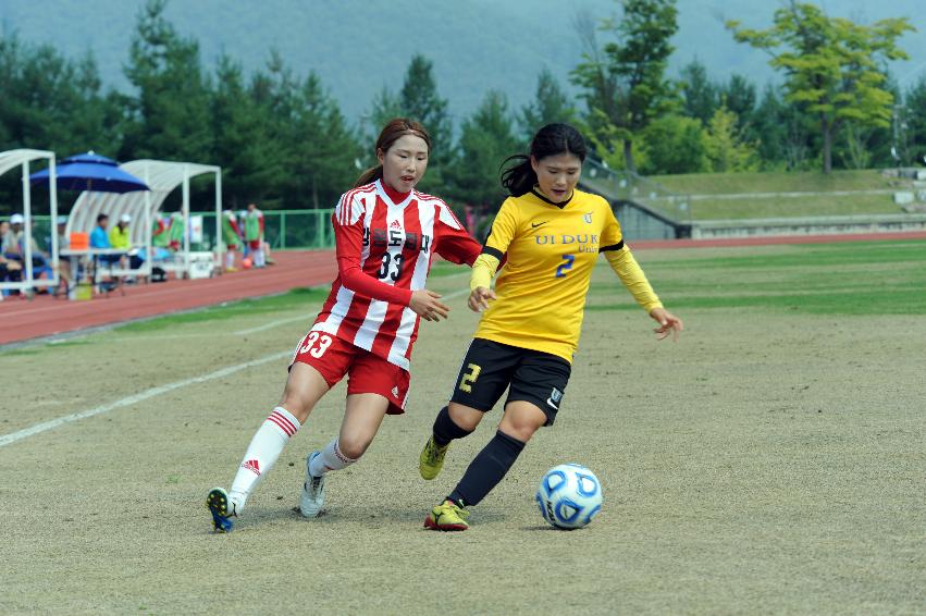 2016 추계 한국여자축구연맹전 의 사진