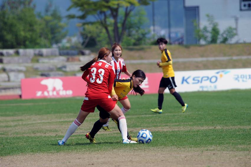 2016 추계 한국여자축구연맹전 의 사진