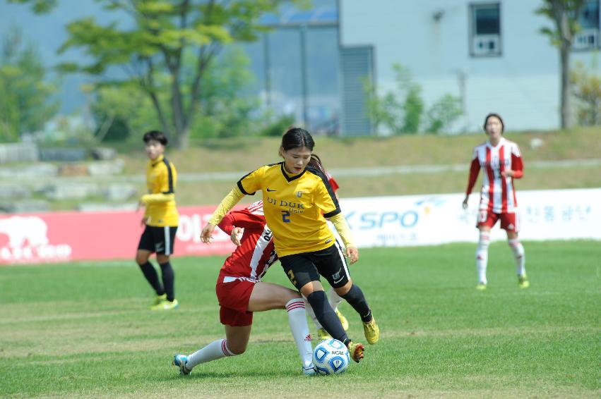 2016 추계 한국여자축구연맹전 의 사진