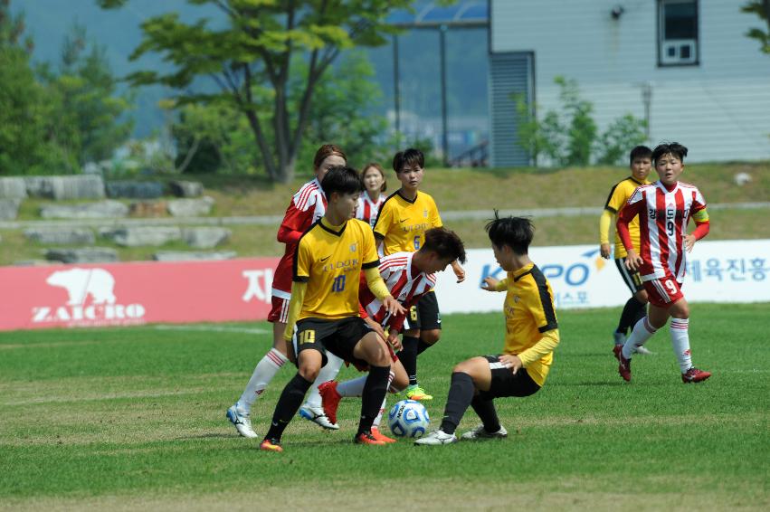 2016 추계 한국여자축구연맹전 의 사진