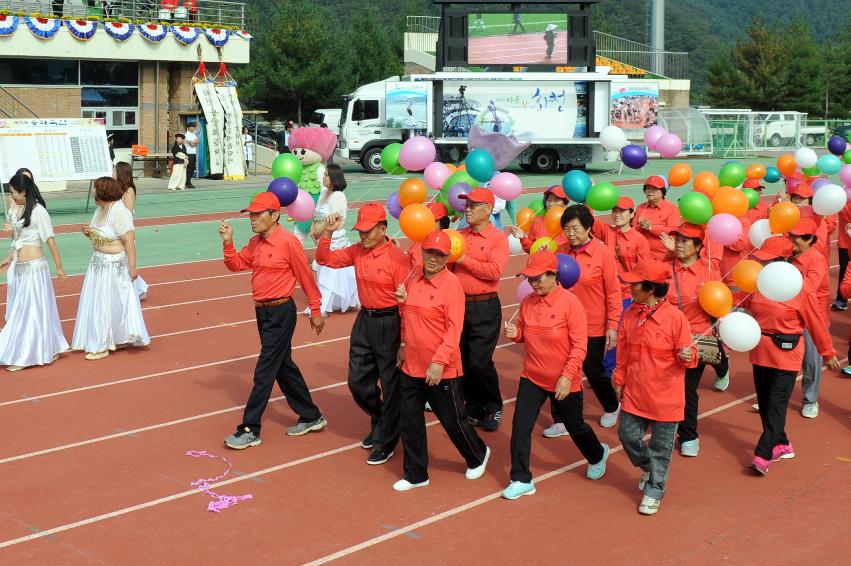 2016 제32회 용화축전 의 사진