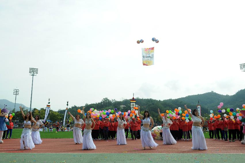 2016 제32회 용화축전 의 사진