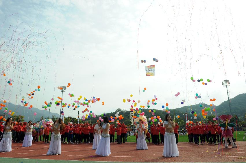 2016 제32회 용화축전 의 사진