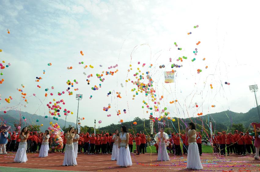 2016 제32회 용화축전 의 사진