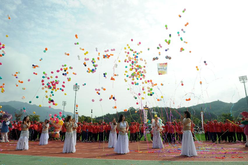 2016 제32회 용화축전 의 사진