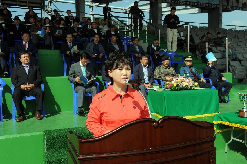 2016 제32회 용화축전 의 사진