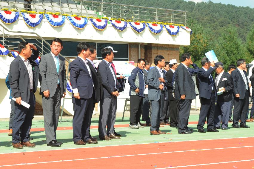 2016 제32회 용화축전 의 사진