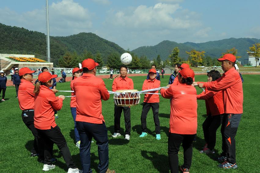 2016 제32회 용화축전 의 사진