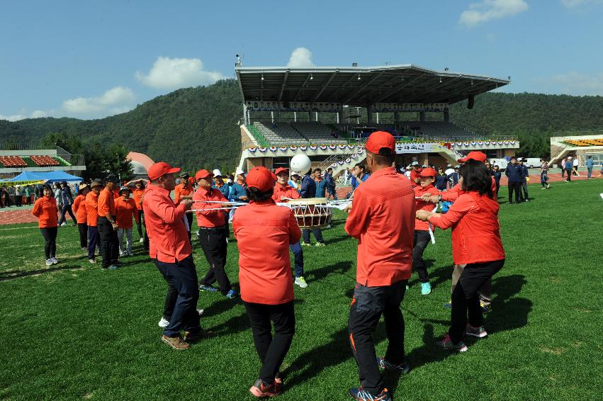 2016 제32회 용화축전 의 사진