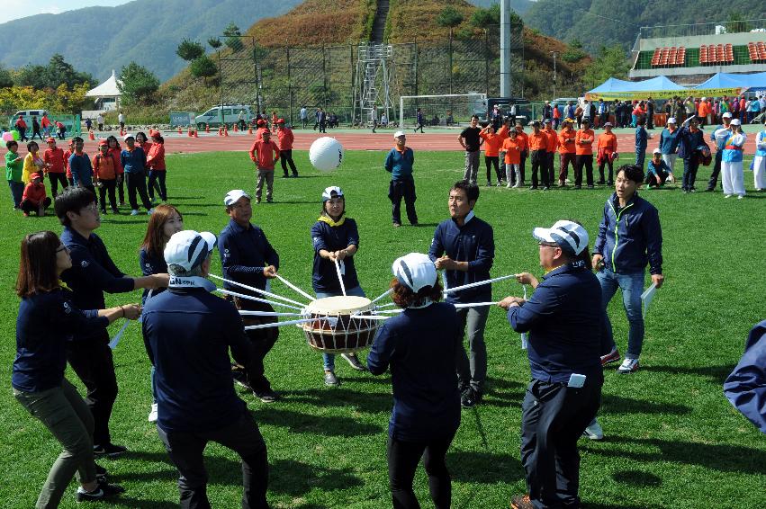 2016 제32회 용화축전 의 사진