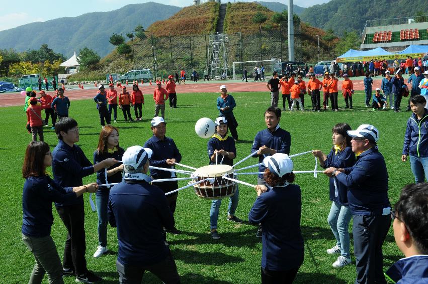 2016 제32회 용화축전 의 사진