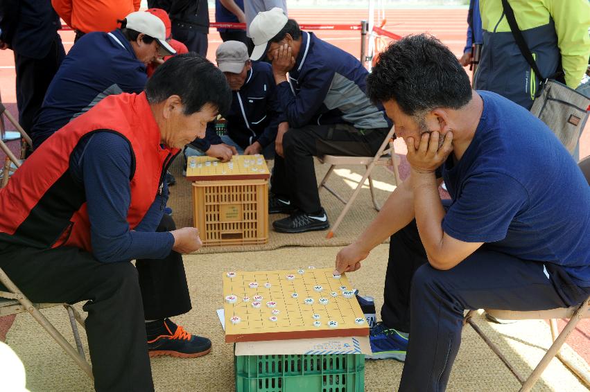 2016 제32회 용화축전 의 사진