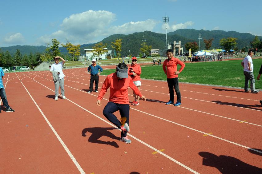 2016 제32회 용화축전 의 사진