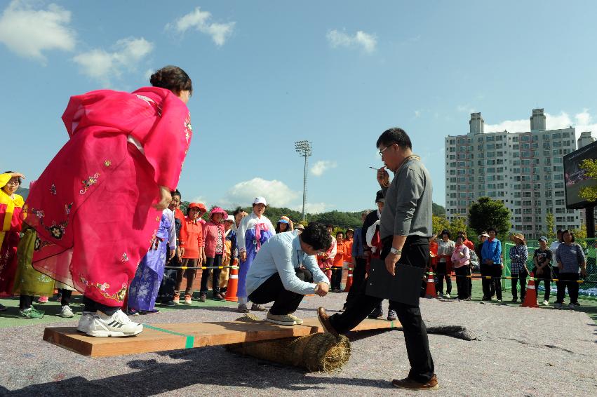 2016 제32회 용화축전 의 사진