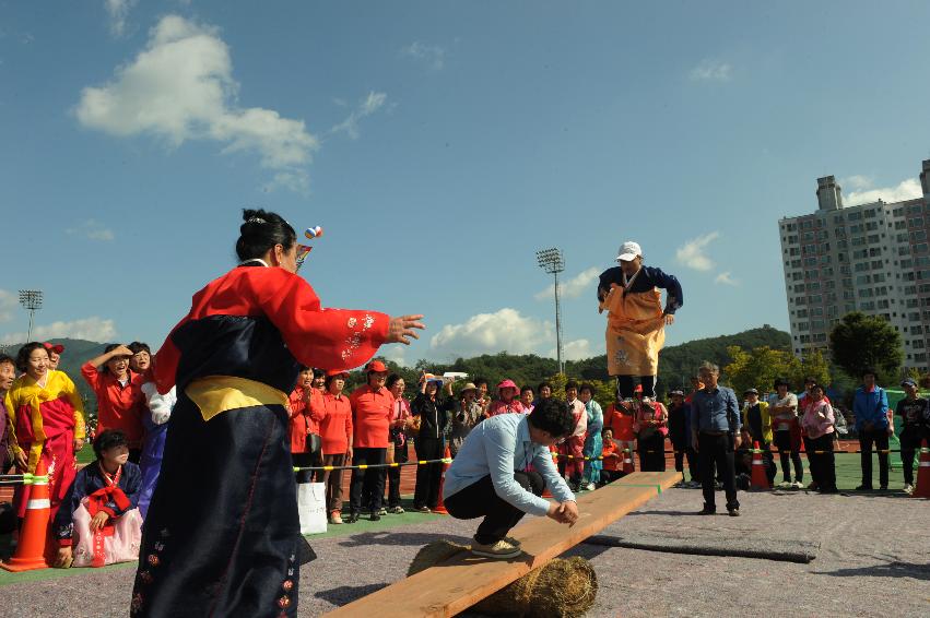 2016 제32회 용화축전 의 사진