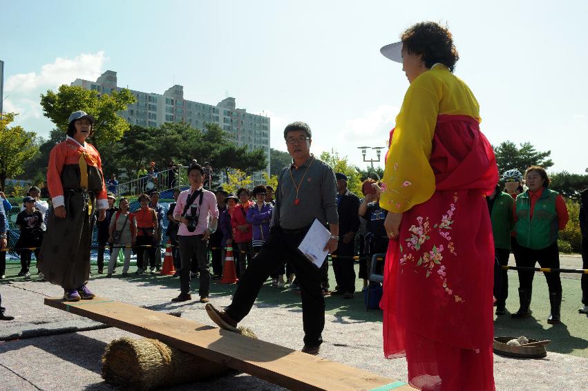 2016 제32회 용화축전 의 사진