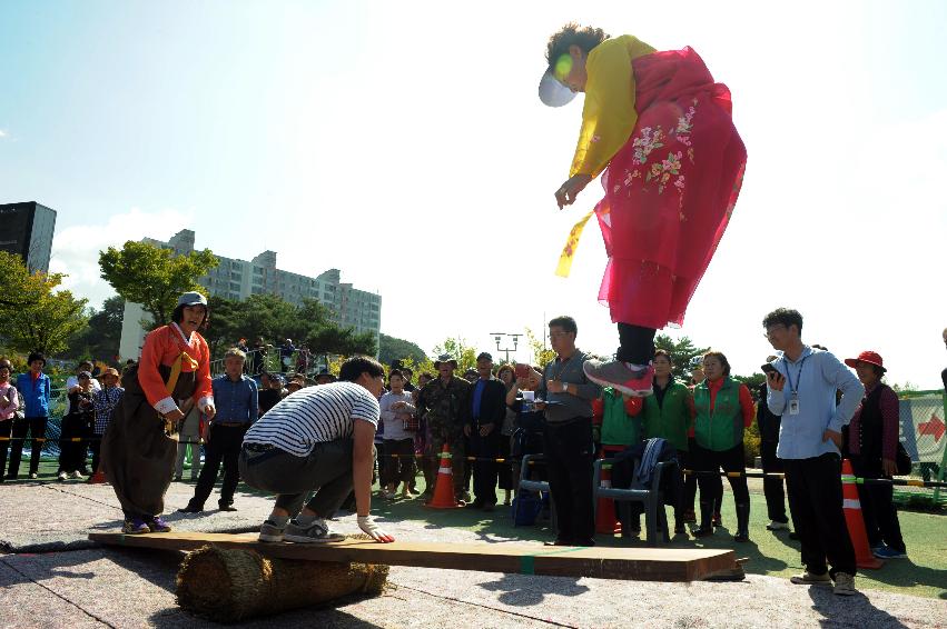 2016 제32회 용화축전 의 사진