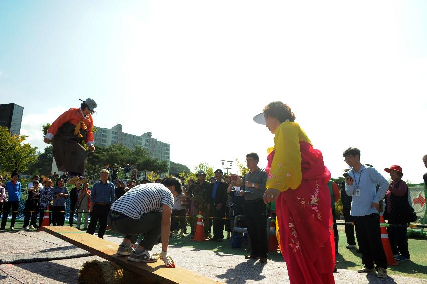 2016 제32회 용화축전 의 사진