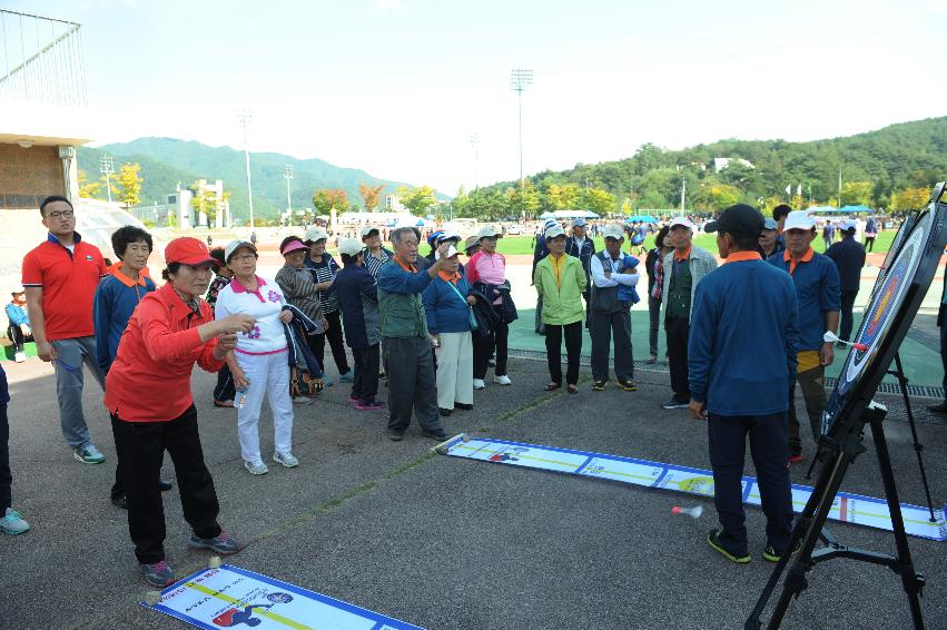 2016 제32회 용화축전 의 사진