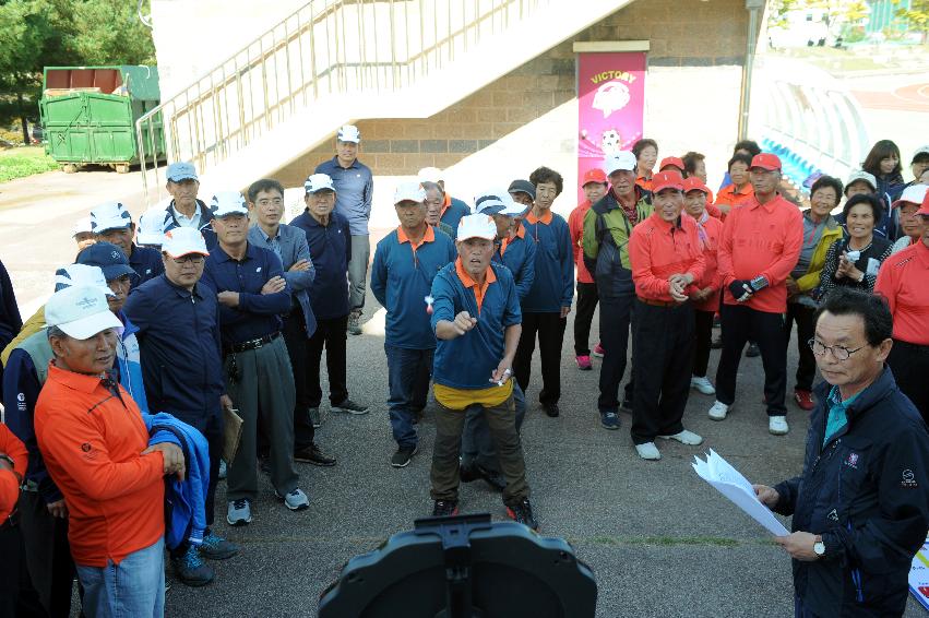 2016 제32회 용화축전 의 사진