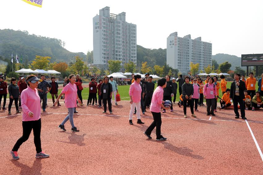 2016 새마을지도자 이반장 가족 한마음 체육대회 의 사진