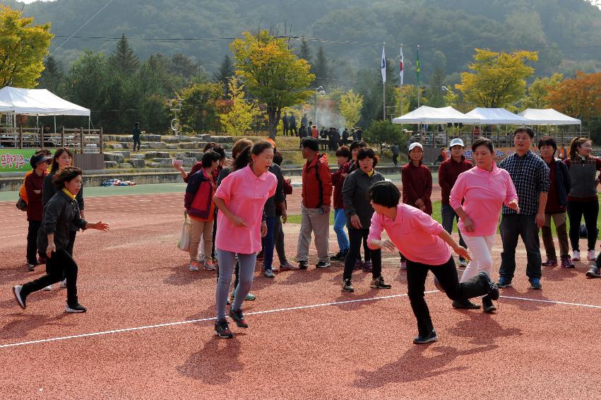 2016 새마을지도자 이반장 가족 한마음 체육대회 의 사진