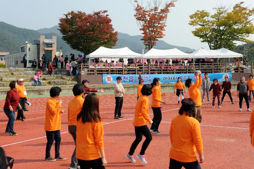 2016 새마을지도자 이반장 가족 한마음 체육대회 의 사진