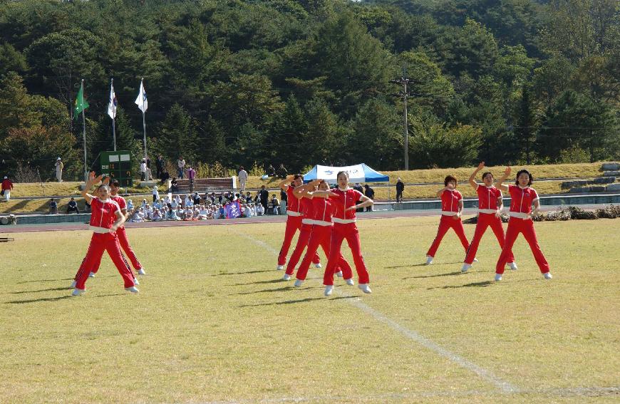 제20회 용화축전 의 사진