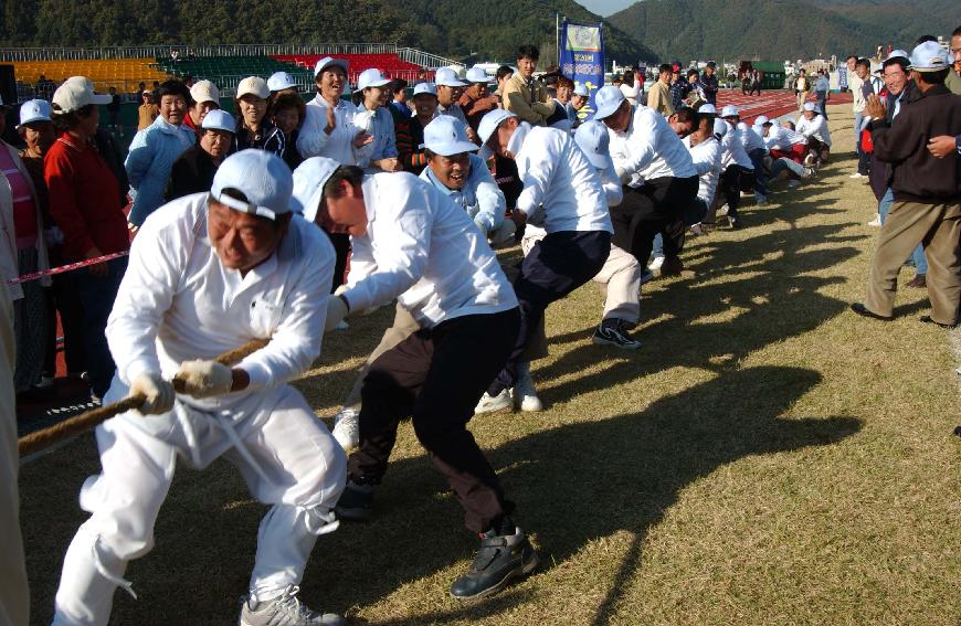 제20회 용화축전 의 사진