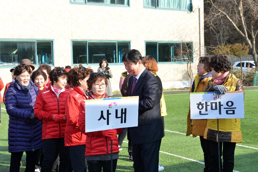 2016 제9회 화천군협회장기 여성게이트볼 대회 의 사진